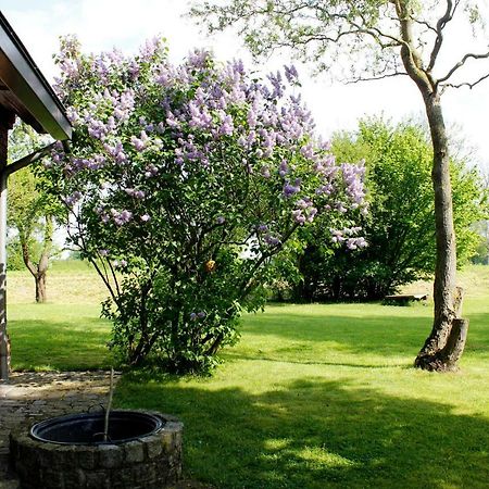 Fewos In Klein-Grindau Schwarmstedt Buitenkant foto